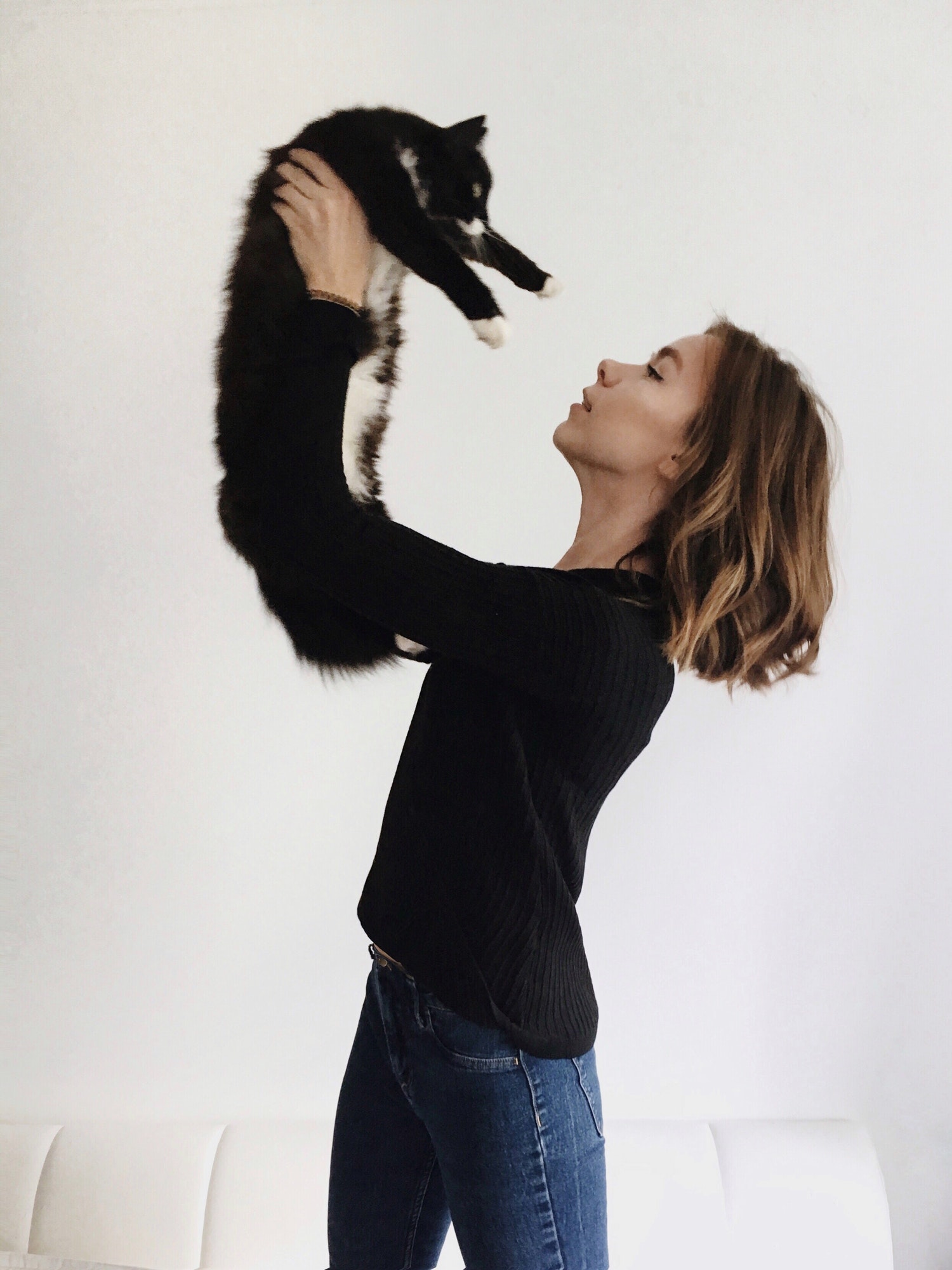 cat.jpg cat.jpg